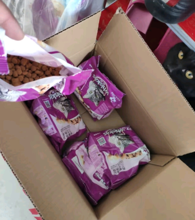 猫咪干粮