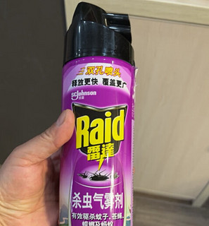 雷达（Raid）无香型杀虫剂喷雾 - 600ml，家用高效灭蚊灭蟑螂