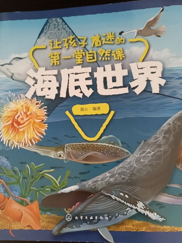 揭秘海洋世界的奇妙之旅