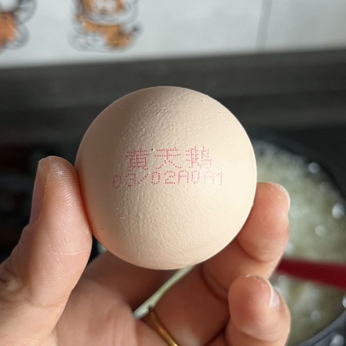 黄天鹅蛋类