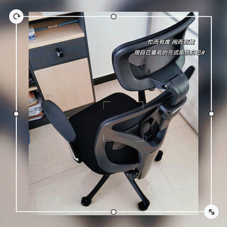 西昊M56人体工学椅