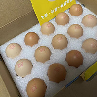 黄天鹅鲜鸡蛋30枚可生食鸡蛋溏心温泉无菌新鲜整箱年货礼盒溏心蛋