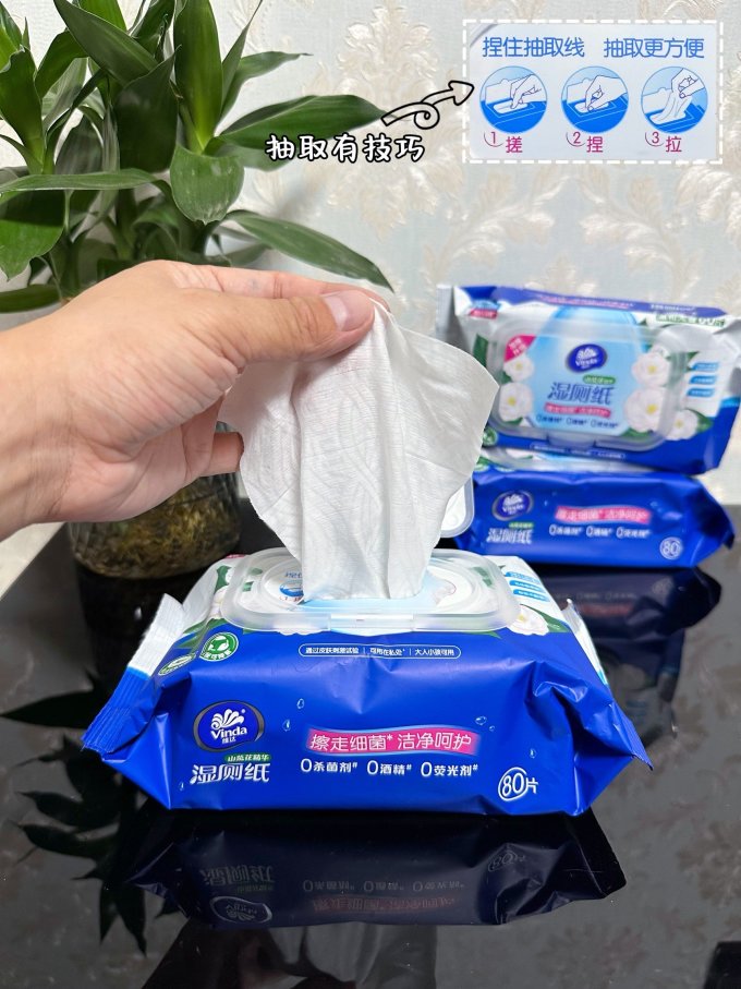 维达湿厕纸