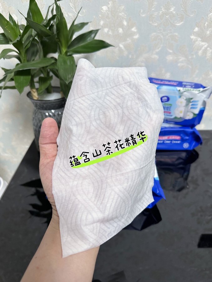 维达湿厕纸
