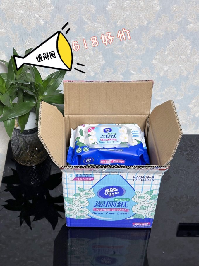 维达湿厕纸
