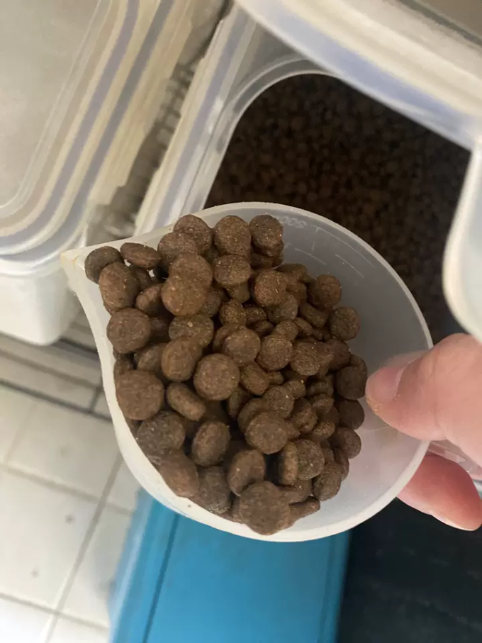 狗狗干粮