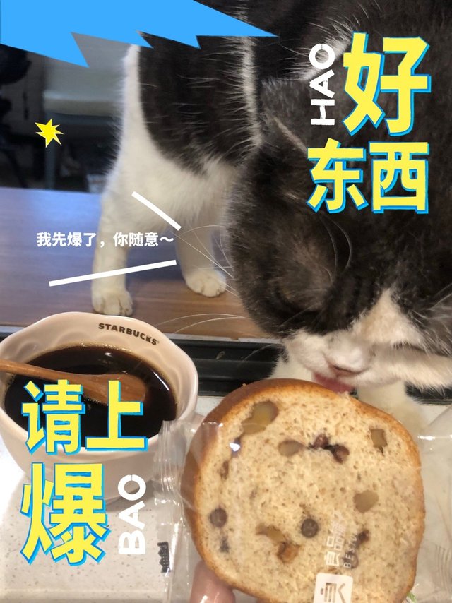 好东西我先爆｜良品铺子坚果车轮面包，猫子都爱吃，你也要试试啊！