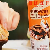 雀巢 鹰唛 巧克力味炼奶：奶香浓郁，健康与美味并存
