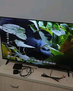 TCL雷鸟 雀5 24款 43英寸电视 4K超高清 2+32GB 远场语音