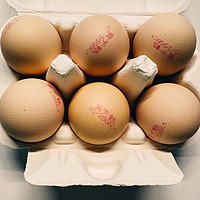 最喜欢的菜是西红柿炒鸡蛋，最喜欢的鸡蛋是黄天鹅的鸡蛋