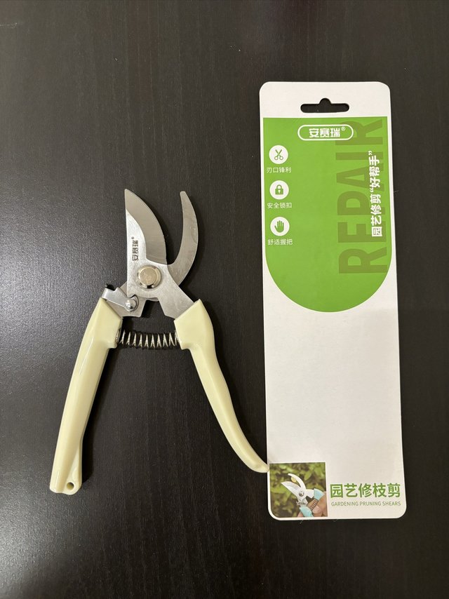 618白菜党狂欢之花园剪刀