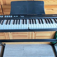 卢森（Rosen）P11电子琴成人88键儿童初学者入门折叠电钢琴乐器 【经典款】-