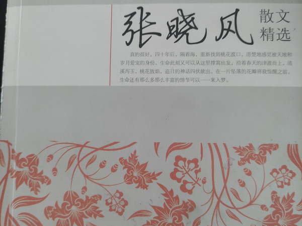 张晓风散文精选