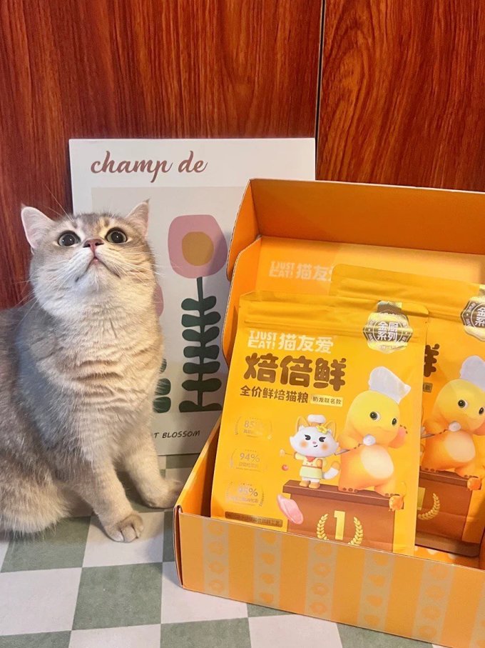 猫友爱猫咪干粮
