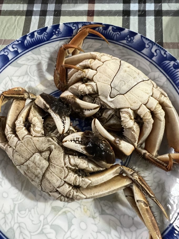 湖鲜阳澄蟹类
