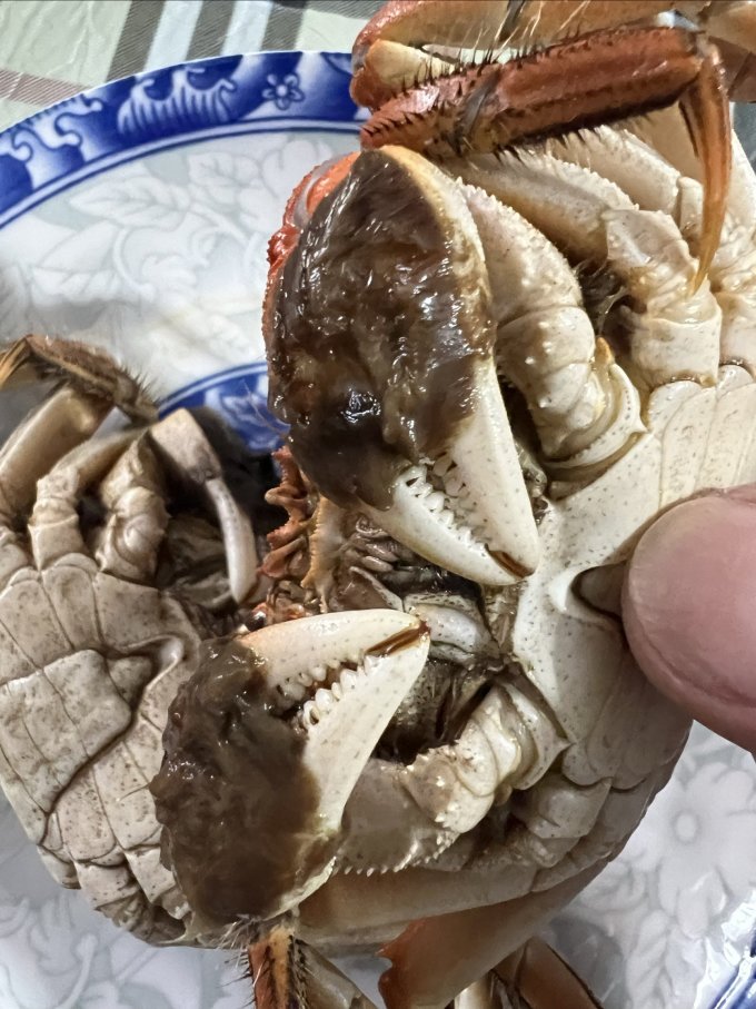湖鲜阳澄蟹类
