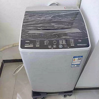 单身洗衣神器TCLXQB55-36SP全自动波轮洗衣机