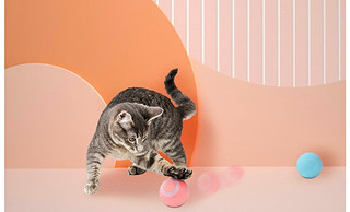 猫咪的贴身玩伴瑜品佳引力智能滚滚球