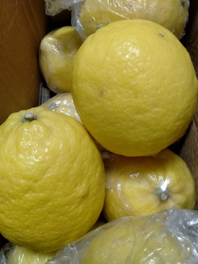 京鲜生新鲜水果