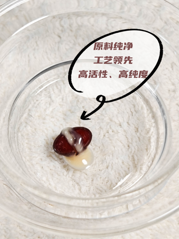 其他营养