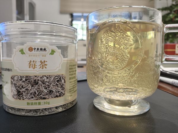 莓茶又入百姓家