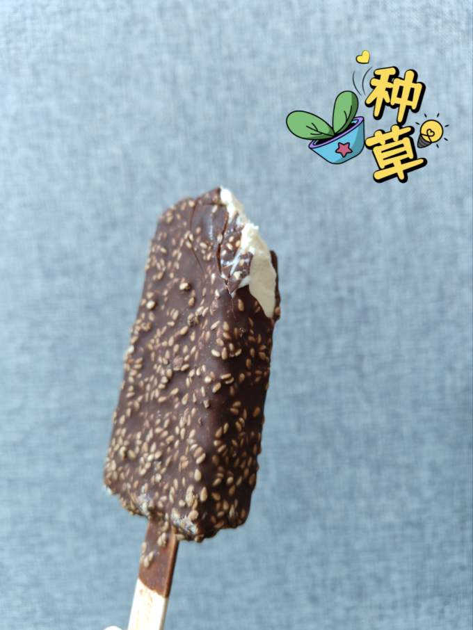 美登高冰淇淋/雪糕