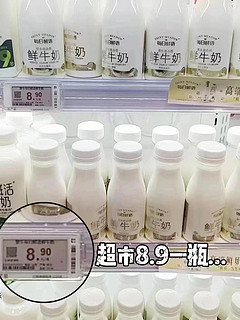 每日鲜语高端鲜牛奶250ml*10瓶装：早餐鲜奶