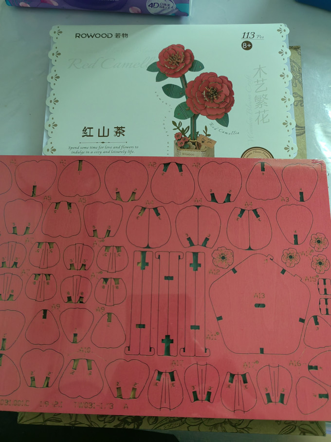 若物拼插积木