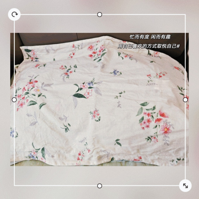 百丽丝枕套