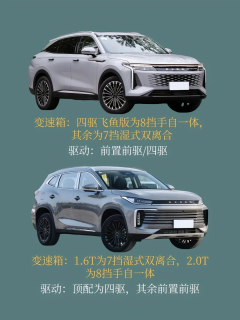 星途中型SUV，瑶光和凌云有何差别