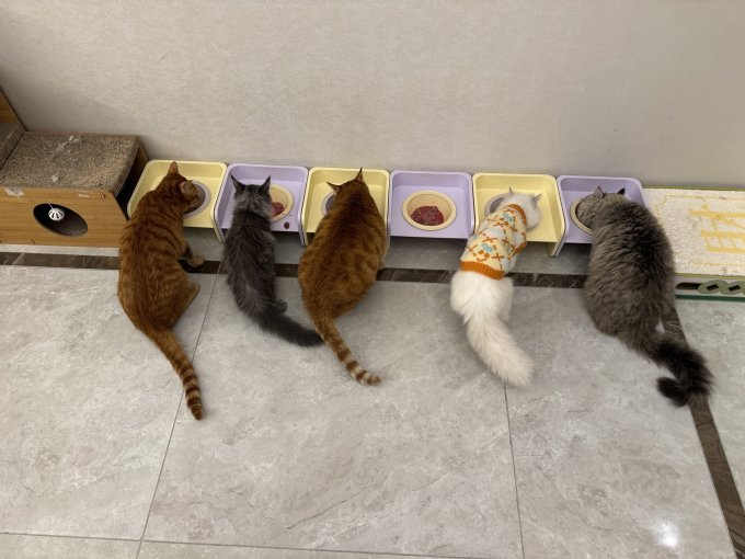 Mango通用食具水具
