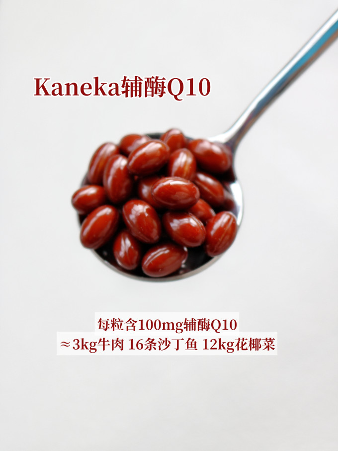 其他营养