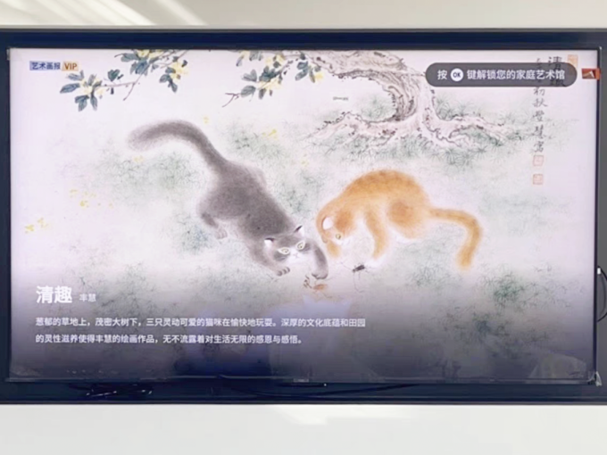 液晶电视