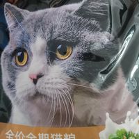 猫粮