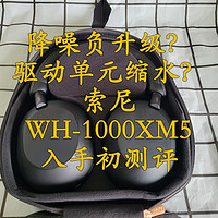 降噪负升级？驱动单元缩水？——索尼WH-1000XM5入手初评