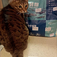 看爆料买的鲜朗猫粮，头一次买！