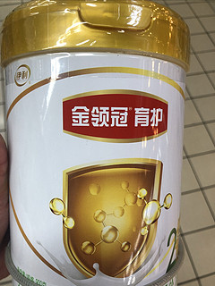 金领冠奶粉