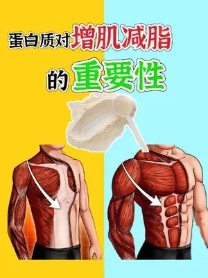 蛋白质对增肌和减脂的重要性！#健身 #增肌 #减脂 #蛋白质