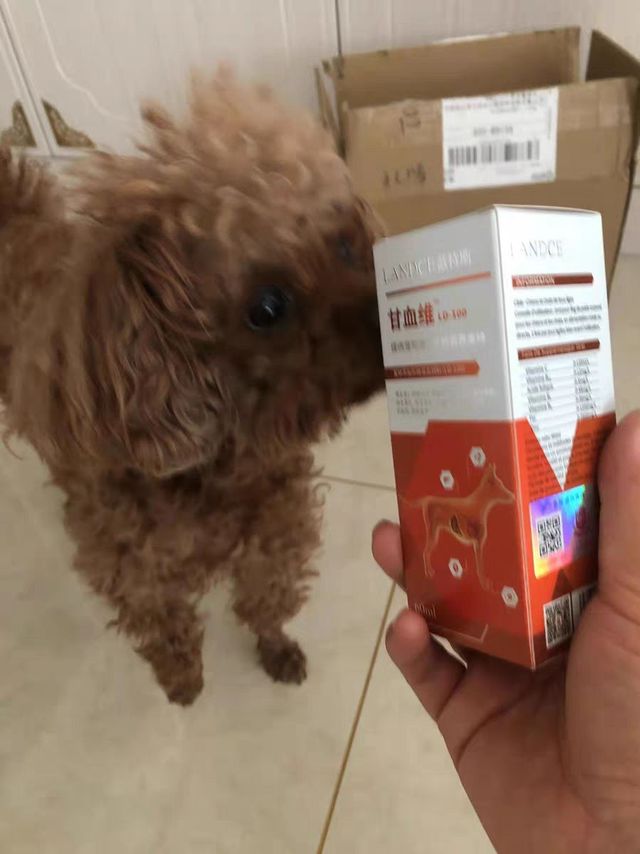 狗狗贫血坚持吃这个，非常有效