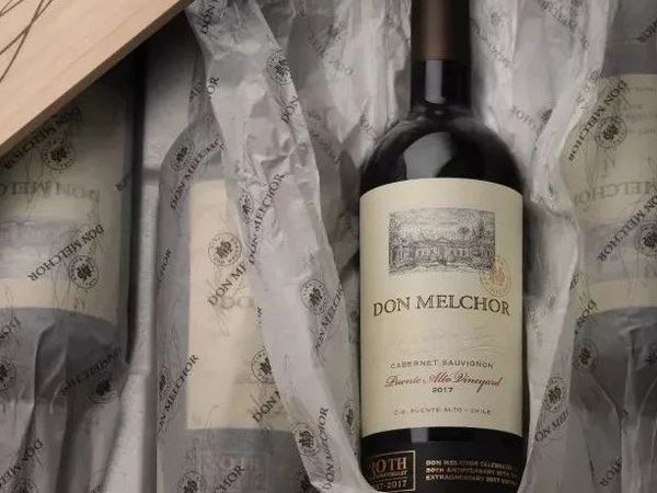 酒庄 | Viña Concha y Toro干露