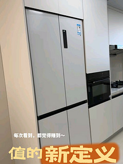 TCL超薄零嵌入冰箱 455T9 纤薄美丽 内芯强大 让你轻松享受新鲜食材