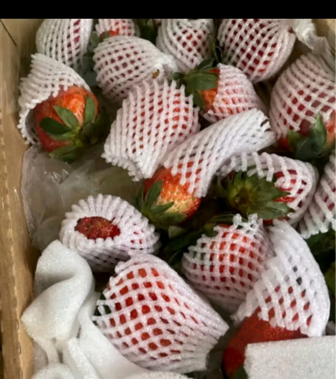 田良季红颜草莓云南曲靖酸草莓非丹东99牛奶草莓水果新鲜送礼品物母亲