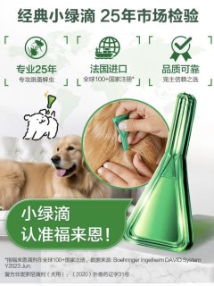 狗狗的体外驱虫很重要哦！