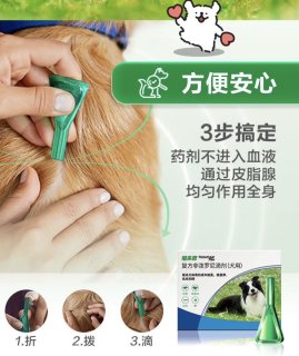 狗狗的体外驱虫很重要哦！