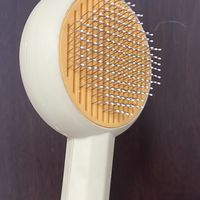 关爱宠物，从梳理毛发开始