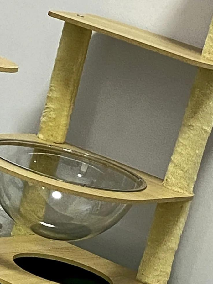 小猫喵喵猫爬架