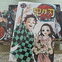 鬼灭之刃，漫画已看完