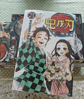 鬼灭之刃，漫画已看完