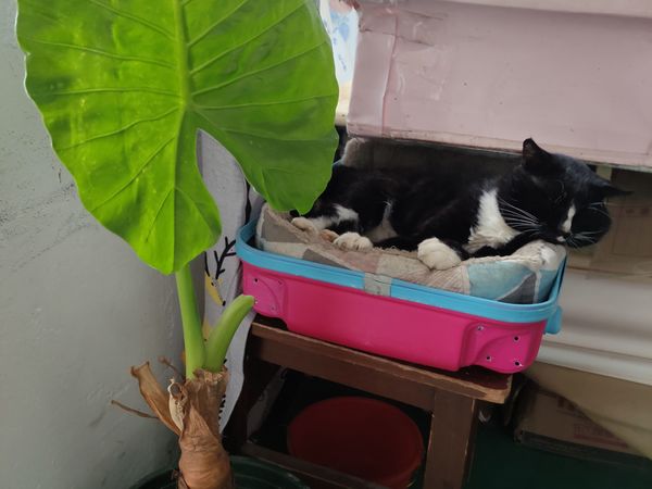 这是what？快来help！