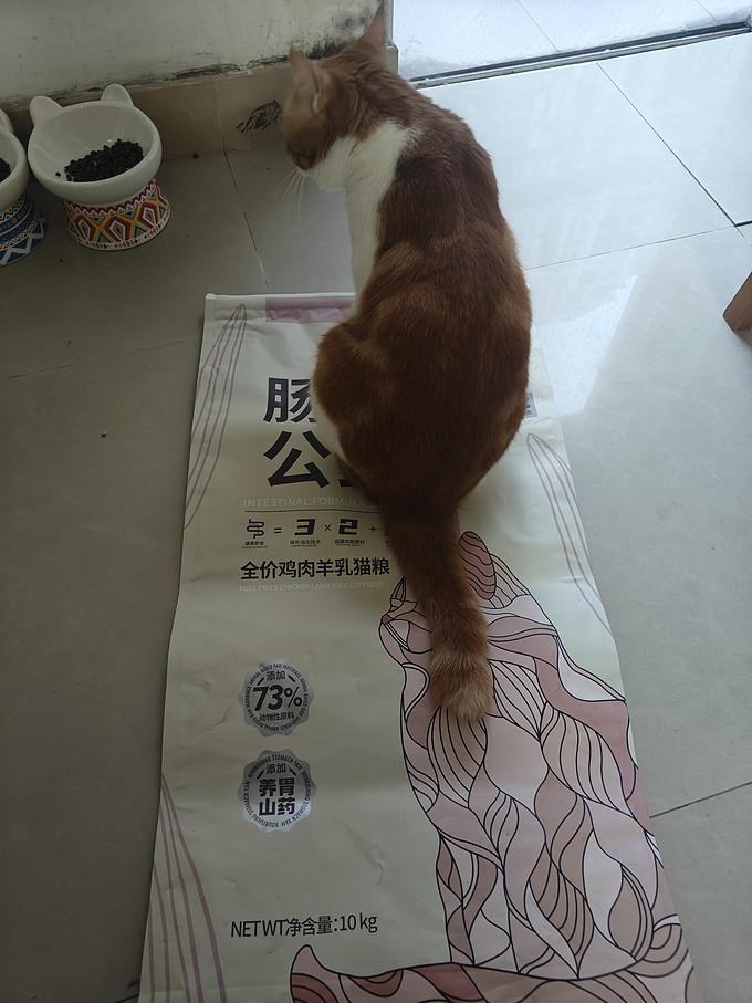 猫咪干粮